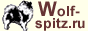Wolf-spitz